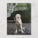 Pesquisar por de caverna convites Engraçado