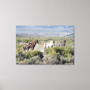 Pesquisar por égua impressão de canvas Garanhão