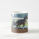 Pesquisar por chicote de fios Standardbred