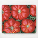 Pesquisar por tomatoe Fruta