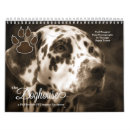 Pesquisar por cachorros bonitos calendarios Amantes de cães