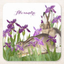 Pesquisar por rabit Elegante