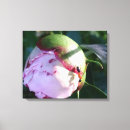 Pesquisar por flores coloridas impressão de canvas Para eles