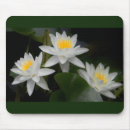 Pesquisar por waterlily Elegante