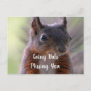 Pesquisar por mensagem animal cartoes postais Amor