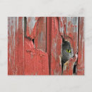 Pesquisar por celeiros velhos cartoes postais Rústico