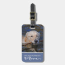 Pesquisar por golden retriever acessorios Ouros