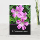 Pesquisar por geranium cartoes postais Cranesbill