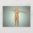 Pesquisar por nervos cartoes postais Anatomia