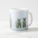 Pesquisar por imagens do urso canecas Animais selvagens