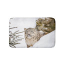 Pesquisar por leopardo de neve Gatos selvagens