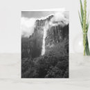 Pesquisar por de venezuela cartoes Floresta