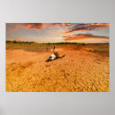 Pesquisar por crânio da vaca pósteres Deserto