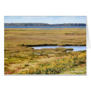 Pesquisar por pantanal cartoes Natureza