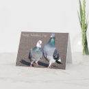 Pesquisar por pombas cartoes Casal