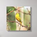 Pesquisar por picante impressão de canvas Natureza