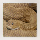 Pesquisar por basilisk Réptil