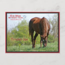 Pesquisar por raça pura cartoes postais Cavalo de corrida