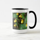 Pesquisar por planta nativa canecas Flor