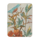 Pesquisar por aviário imas Animais