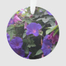 Pesquisar por primavera ornamentos Fotografia da natureza