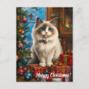 Pesquisar por natal meowy cartoes postais Gato