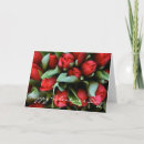 Pesquisar por placa da tulipa Vermelho