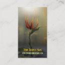 Pesquisar por surreal cartao de visita Arte