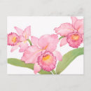 Pesquisar por orquídeas cartoes postais Flores