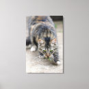 Pesquisar por concentração impressão de canvas Vertical