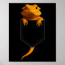 Pesquisar por reptil pôsteres pósteres Moderno