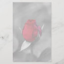 Pesquisar por flores vermelhas papel de carta Natureza