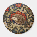 Pesquisar por hedgehog imas Floresta