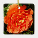Pesquisar por aumentou ornamentos Floral