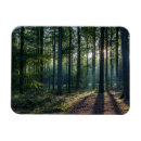 Pesquisar por baden baden imas Floresta