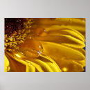 Pesquisar por água líquida pôsteres pósteres Natureza