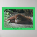 Pesquisar por pensadores pôsteres pósteres Humor