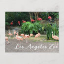 Pesquisar por flamingo cartoes postais Animal
