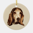 Pesquisar por basset hound ornamentos Animal de estimação