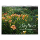 Pesquisar por hemerocallis calendarios Jardins