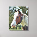 Pesquisar por cavalo branco impressão de canvas Animais