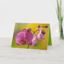 Pesquisar por orquídeas amarelas cartoes Fotografia
