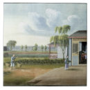 Pesquisar por coreano azulejos Classificação