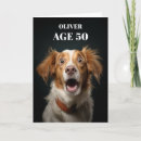 Pesquisar por chocado cartoes Cão
