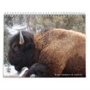 Pesquisar por calendário dos animais selvagens calendarios Bisonte