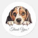 Pesquisar por amantes da águia adesivos Beagle