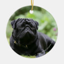 Pesquisar por pug preto ornamentos Cão