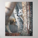 Pesquisar por lobos cinzentos pósteres Animal
