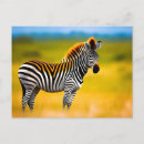 Pesquisar por zebra cartoes postais Natureza