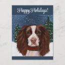 Pesquisar por natal espanhol cartoes postais Spaniel